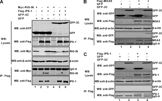 FIG. 7.