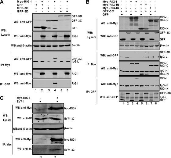 FIG. 6.