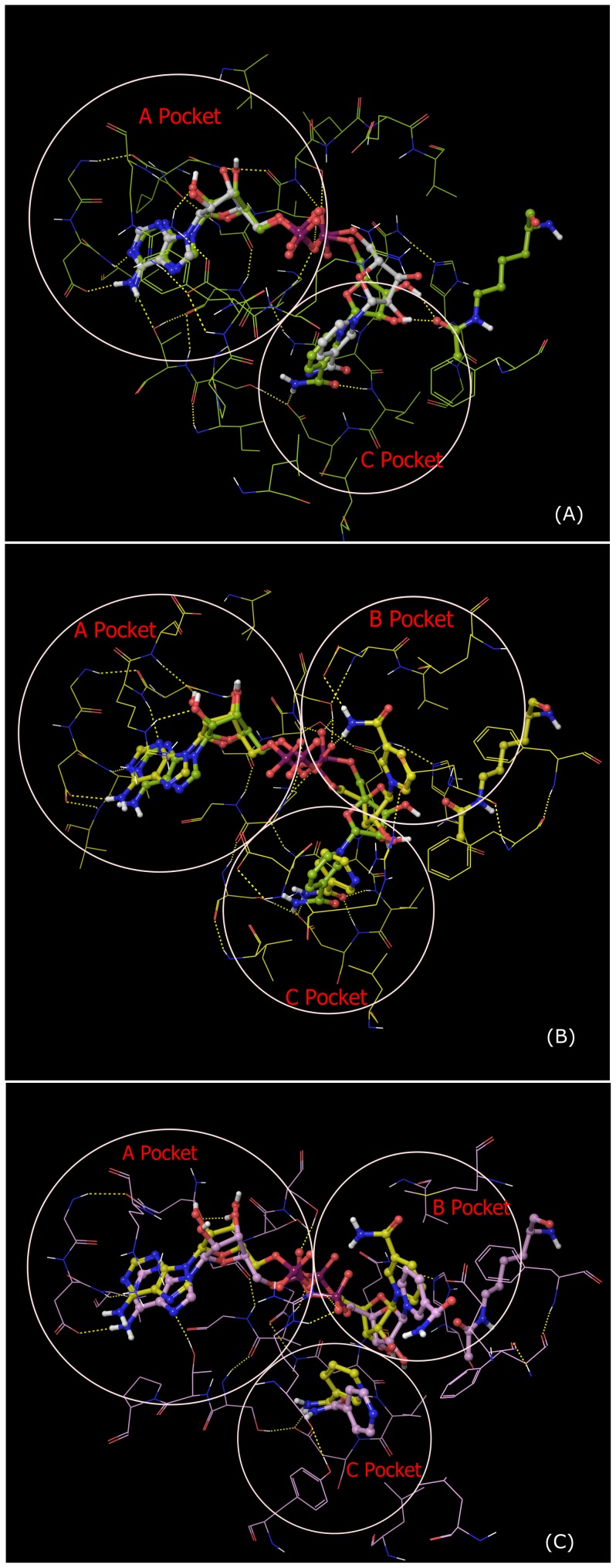 Figure 9