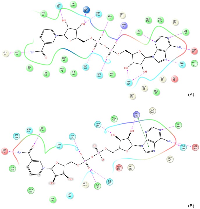 Figure 13