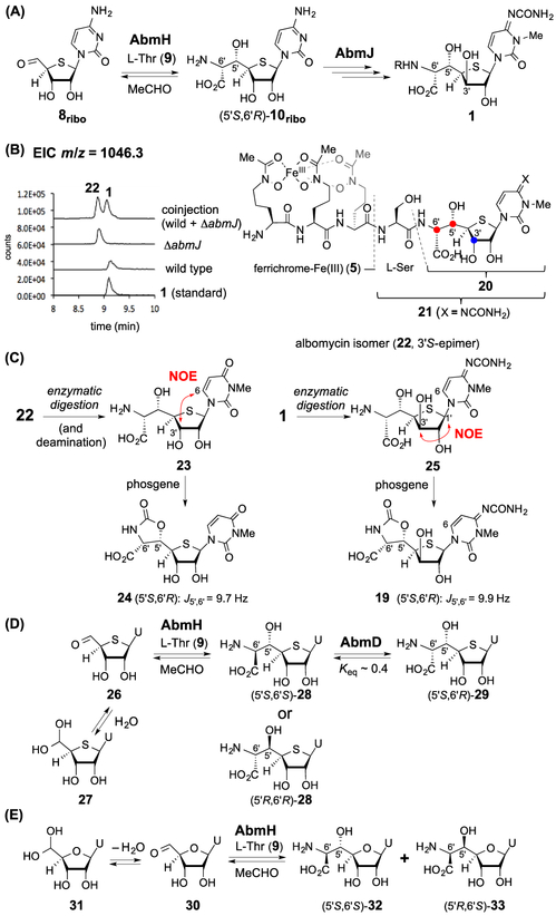 Figure 2.