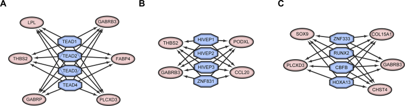 Fig. 4