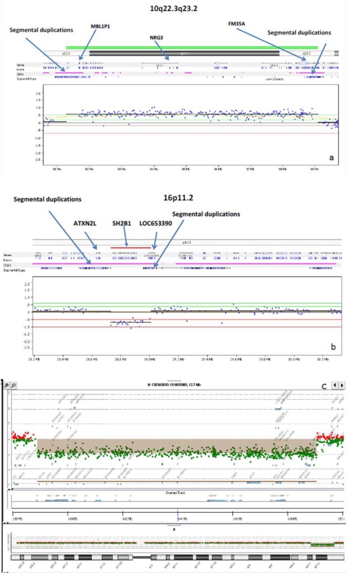 Fig. (2)