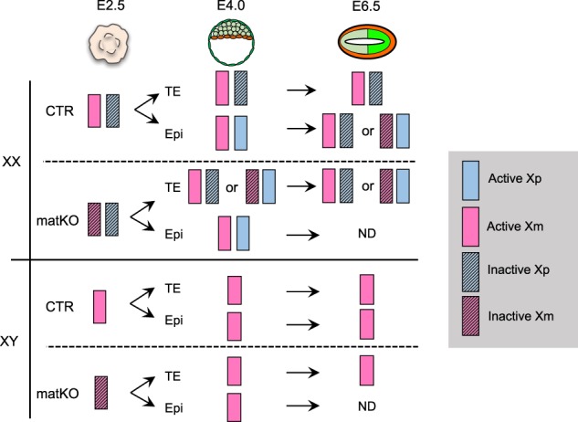 Figure 6.