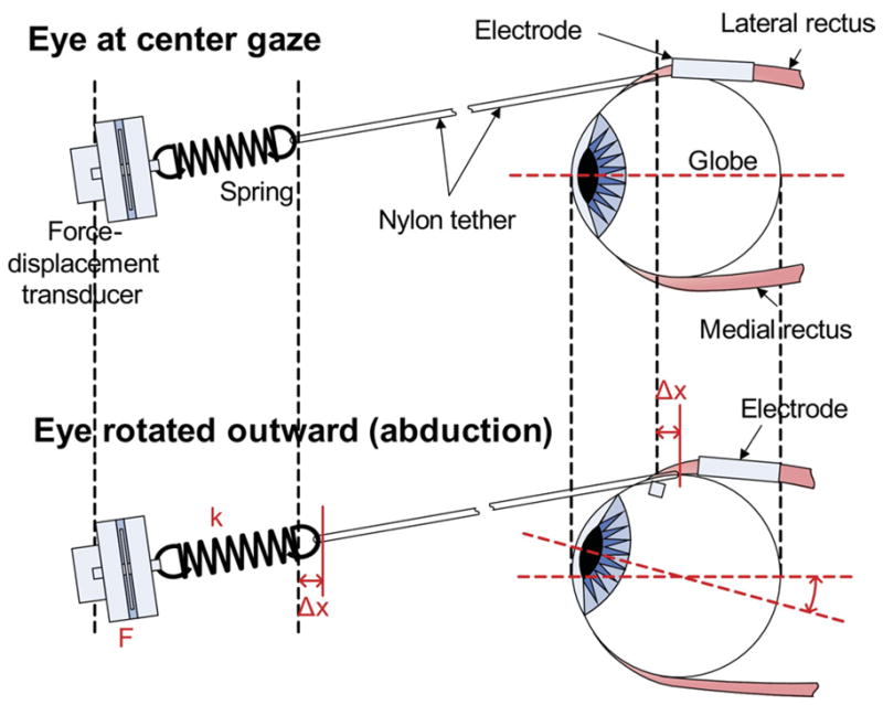 FIG 3