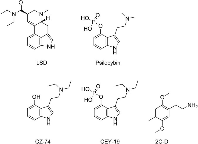 FIGURE 1