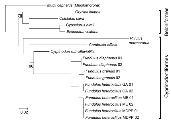 Figure 1