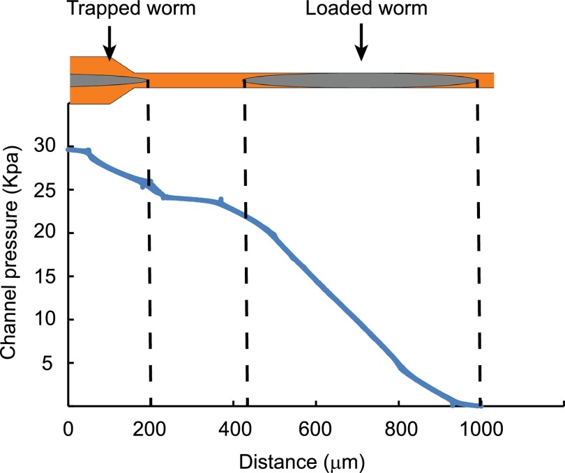 FIG. 2.