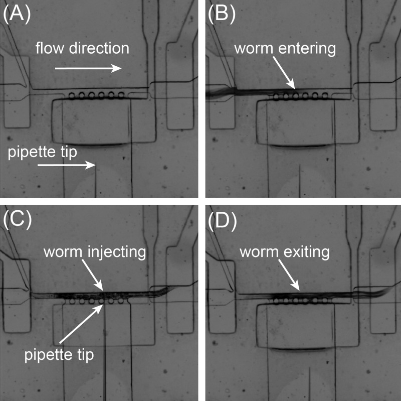 FIG. 4.