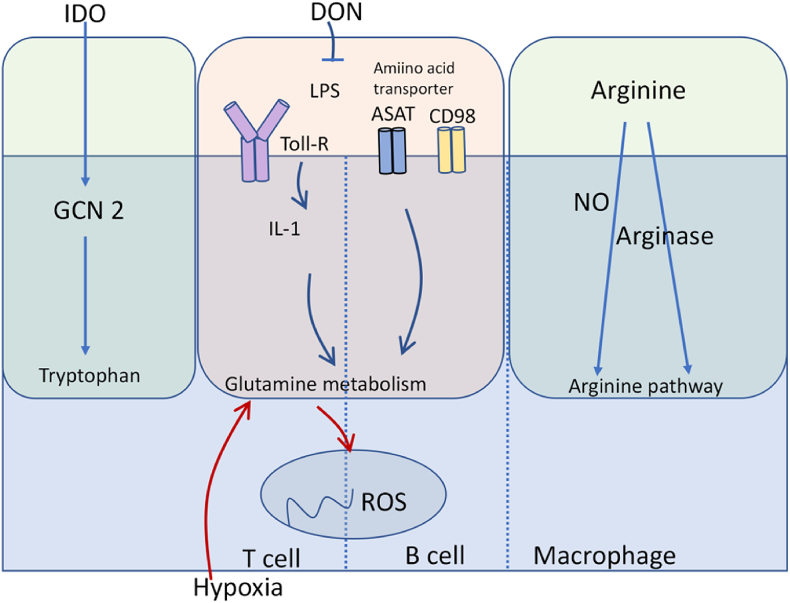 Fig. 4