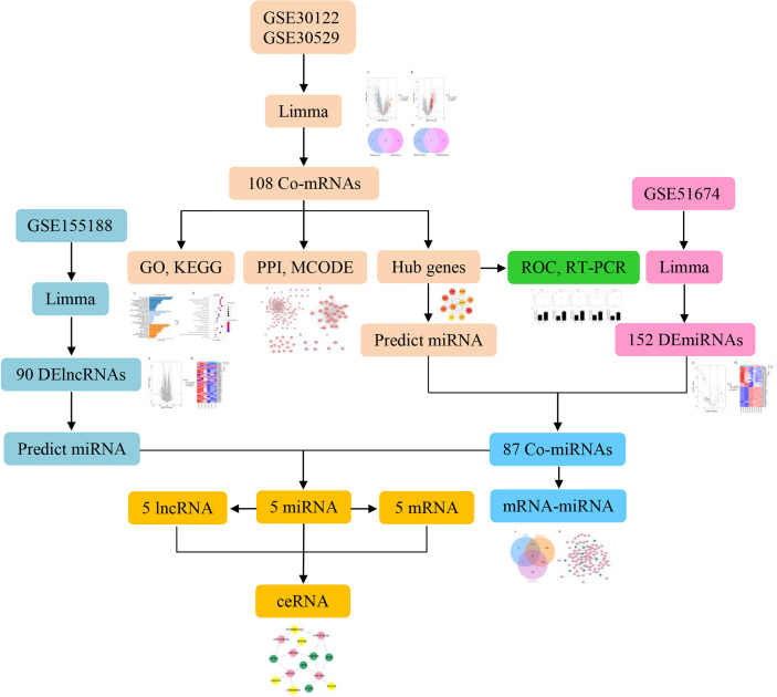 Figure 1