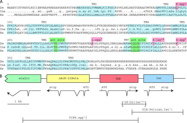 Figure 1.—