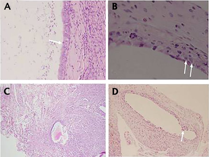 Fig.3