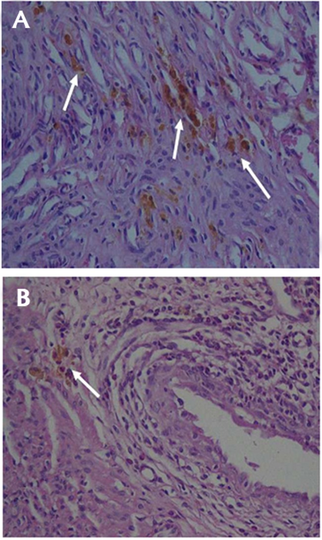 Fig.4