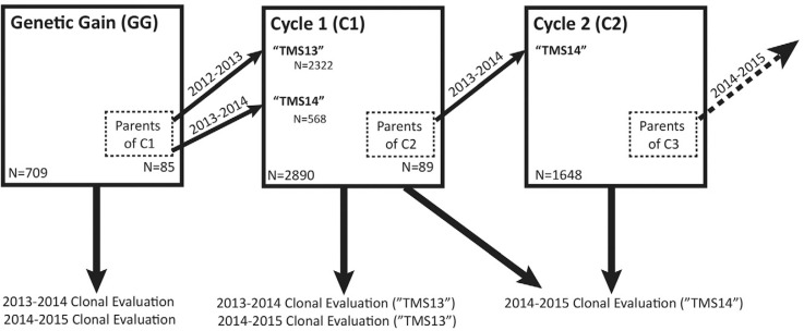 Fig. 2