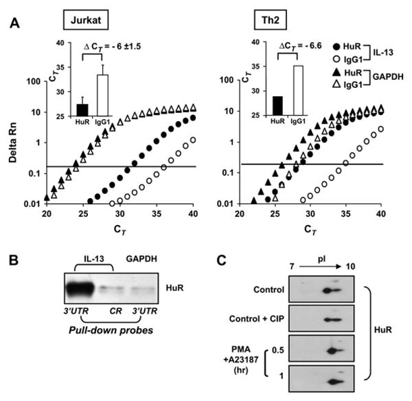 FIG 4