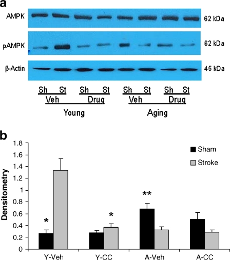 Fig. 4