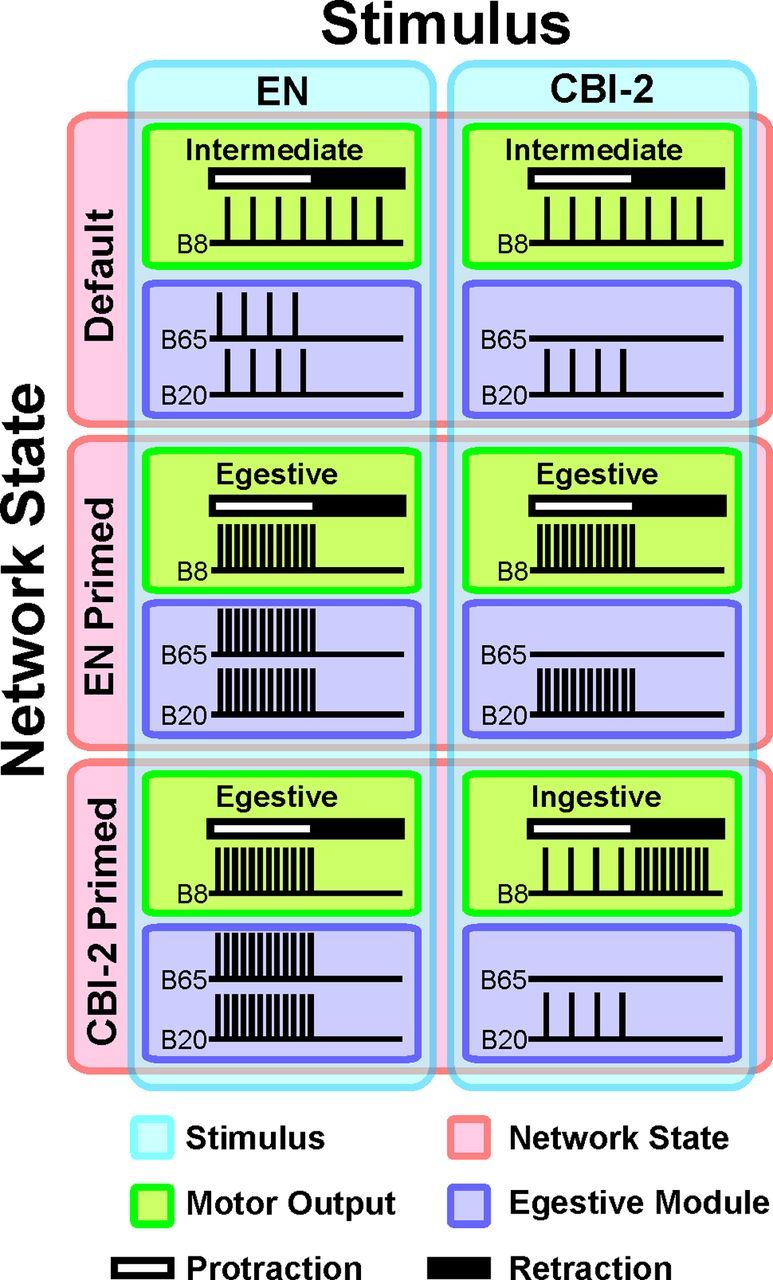 Figure 10.