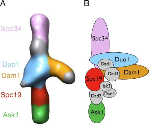 FIGURE 3: