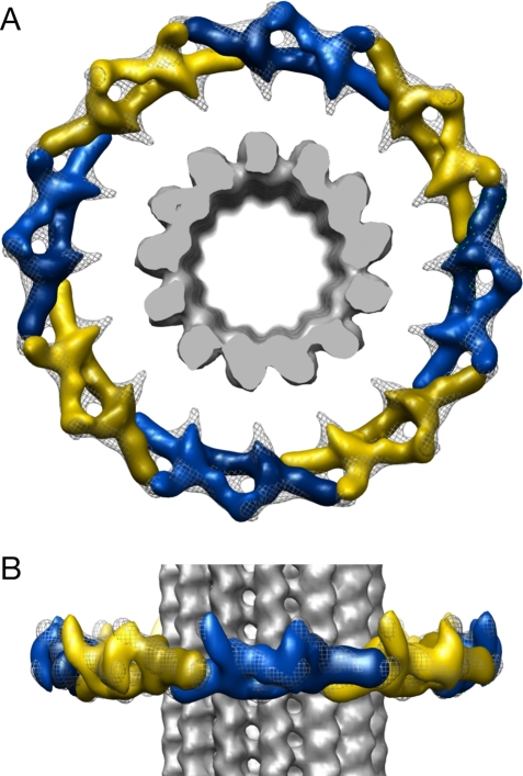 FIGURE 5: