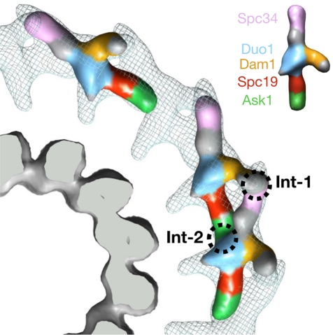 FIGURE 6: