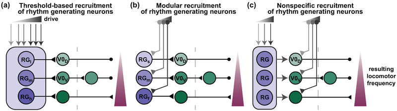 Figure 3: