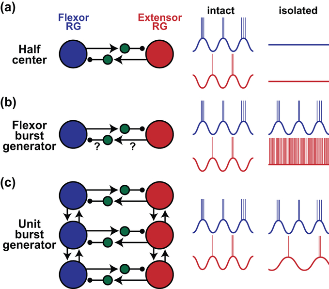 Figure 1: