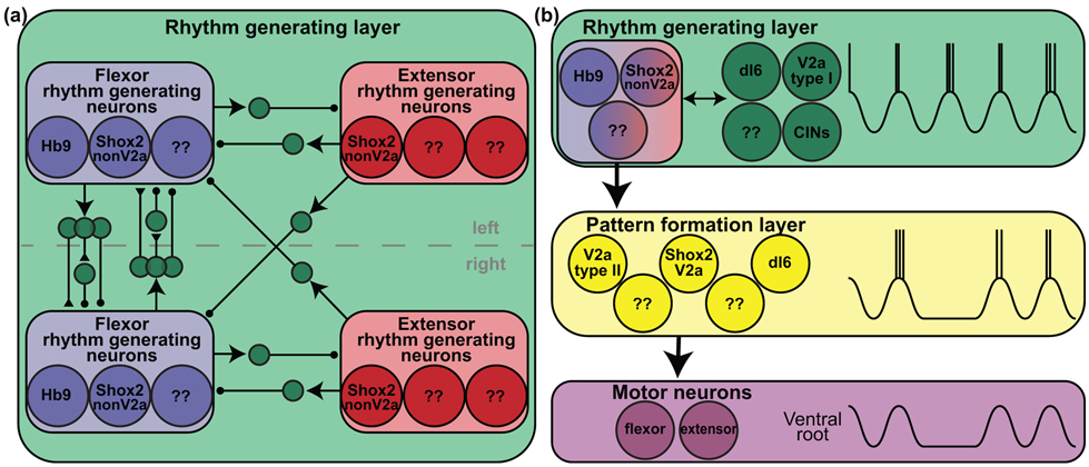 Figure 2: