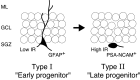 Figure 10.