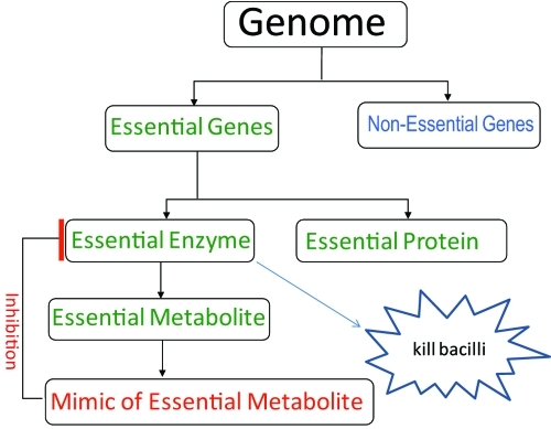 FIG 1 