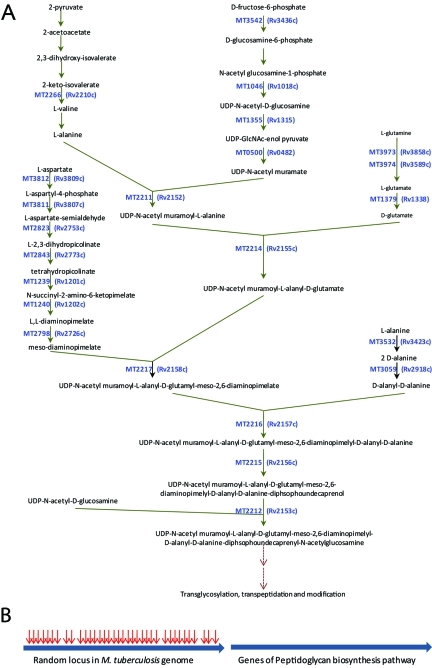 FIG 2 