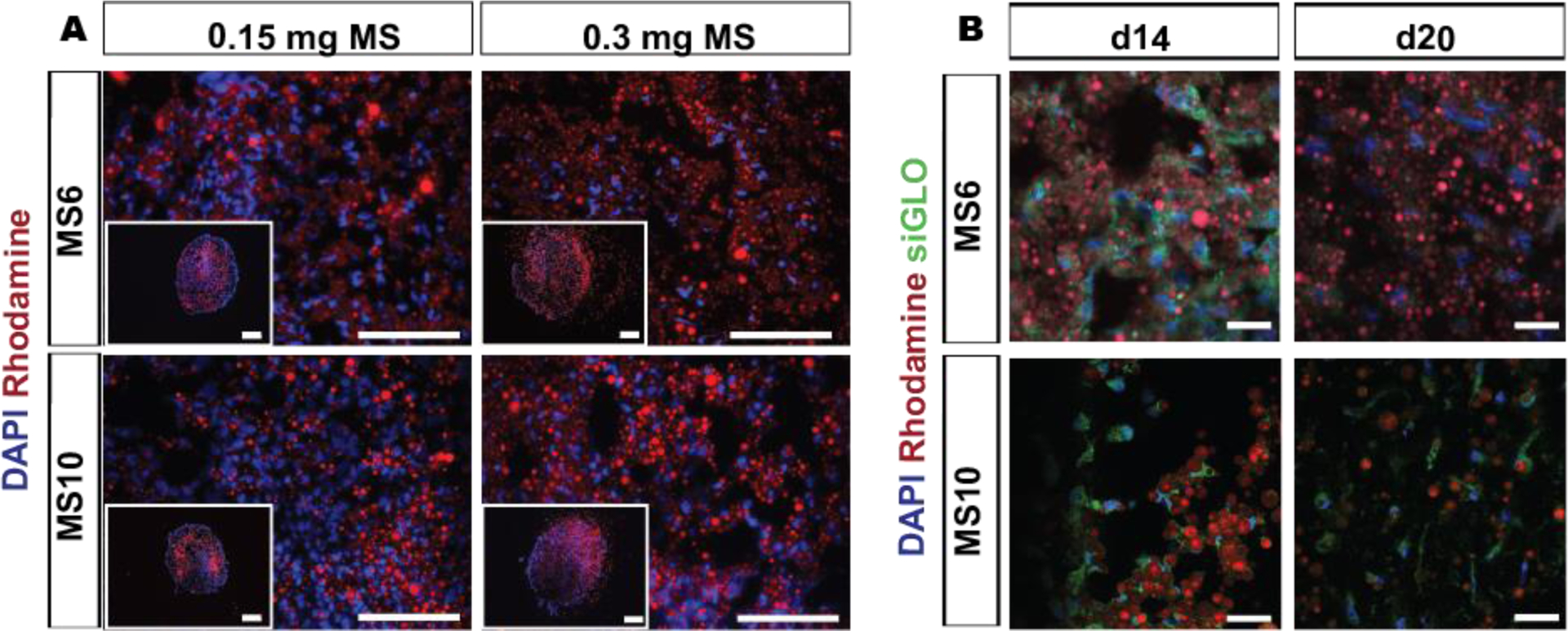 Figure 6.