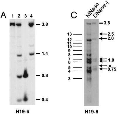 FIG. 5