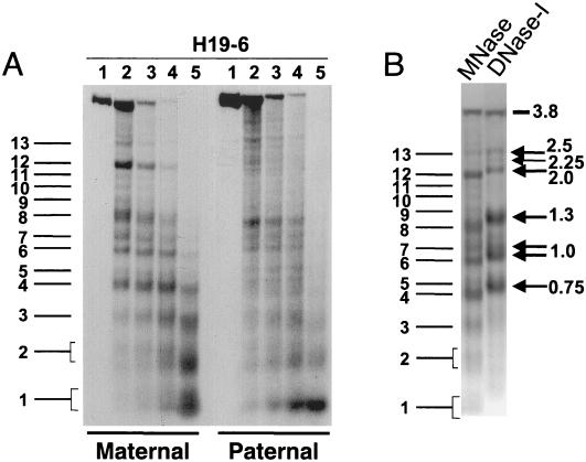 FIG. 6