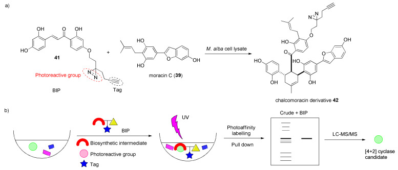 Figure 13