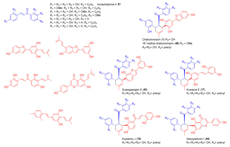 Figure 14