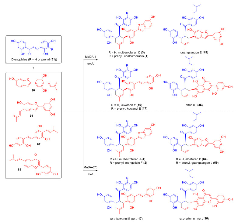 Figure 18