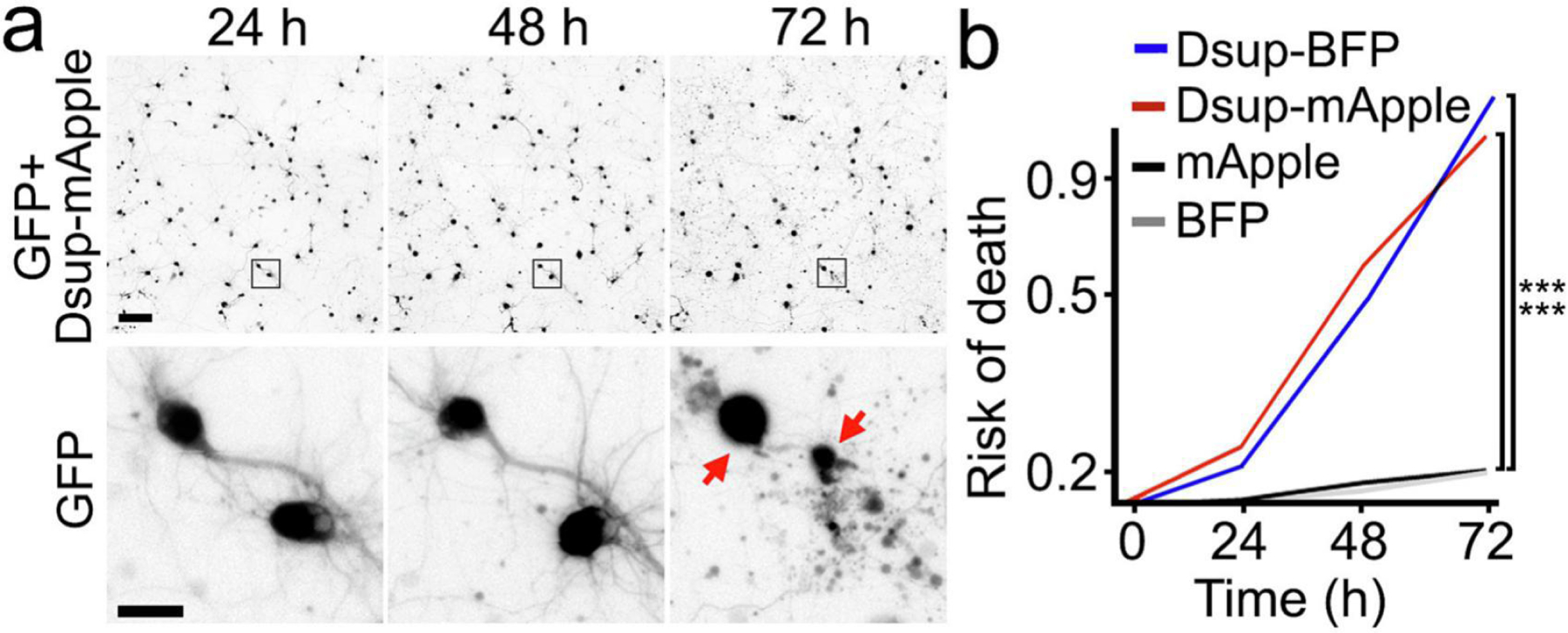 Figure 2.