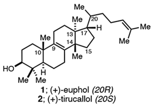 graphic file with name nihms-1942359-f0005.jpg