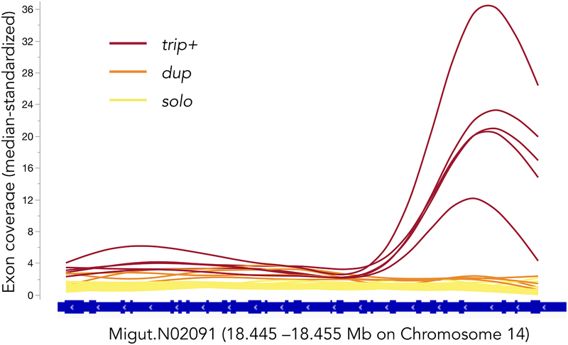 Figure 2.