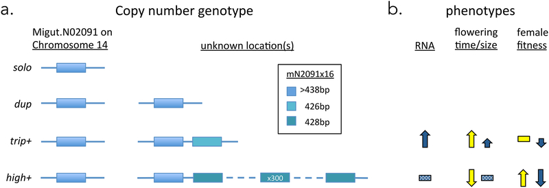 Figure 6.