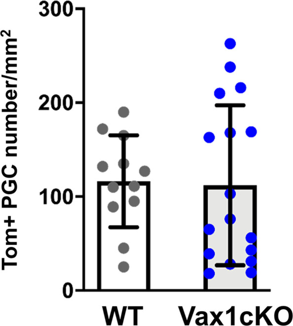 Figure 2—figure supplement 2.