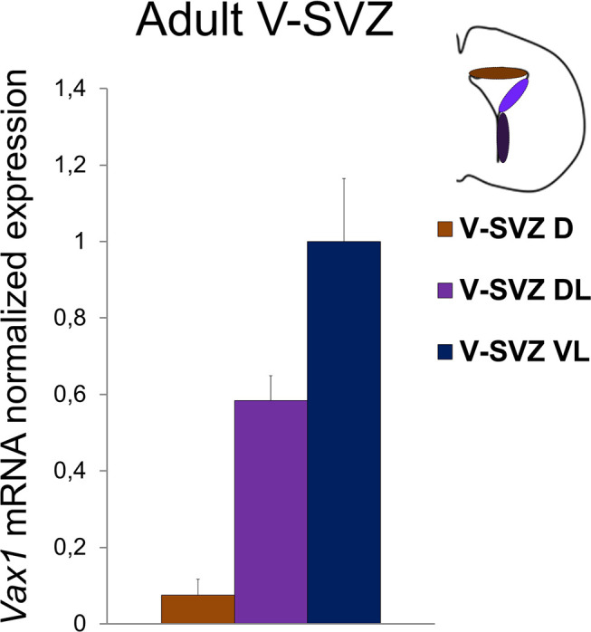 Figure 3—figure supplement 1.