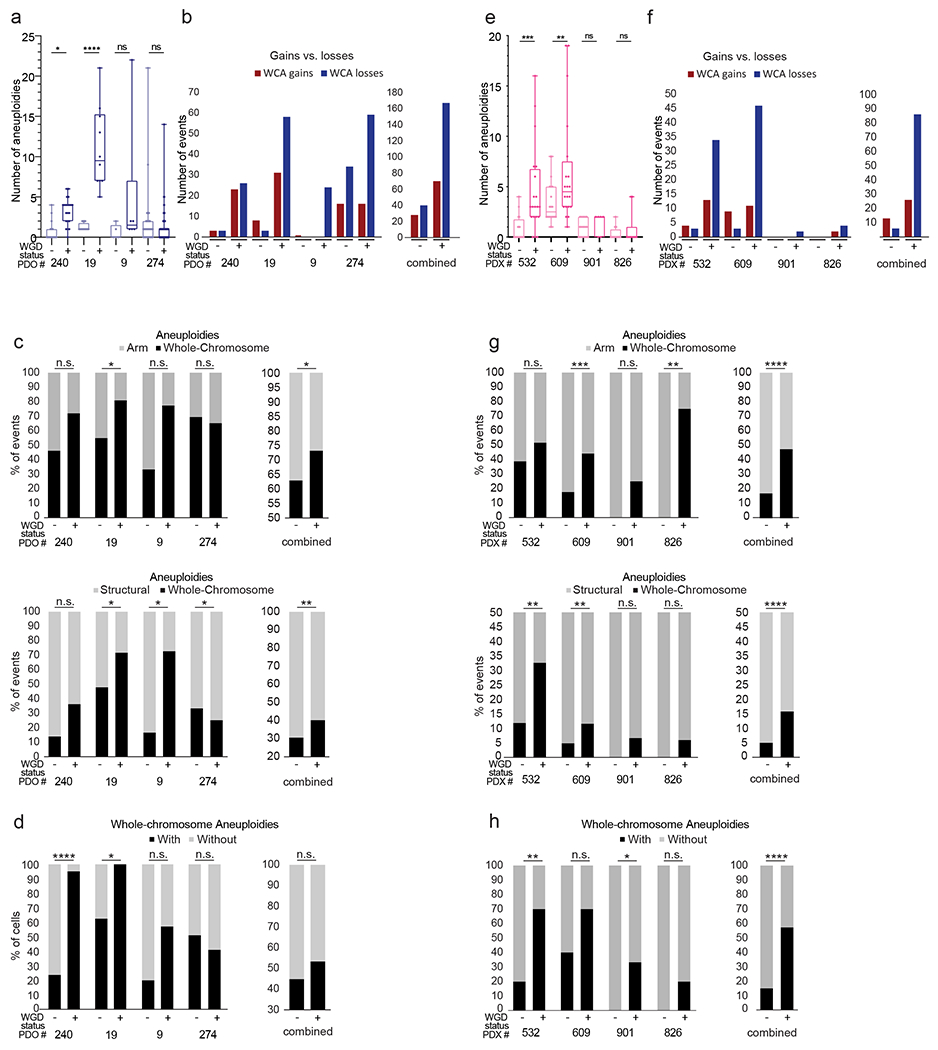 Figure 6: