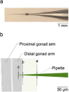 FIG. 4.
