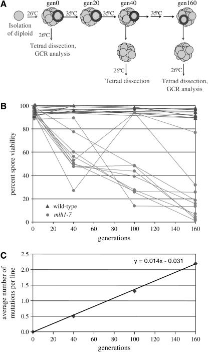 Figure 1.—