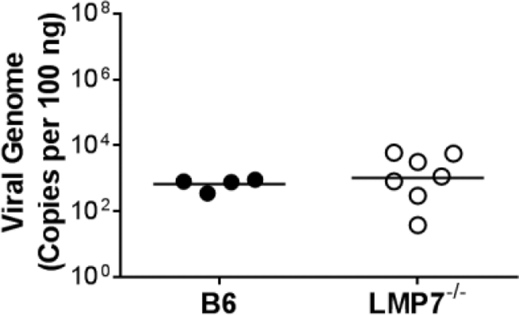 Fig. 8