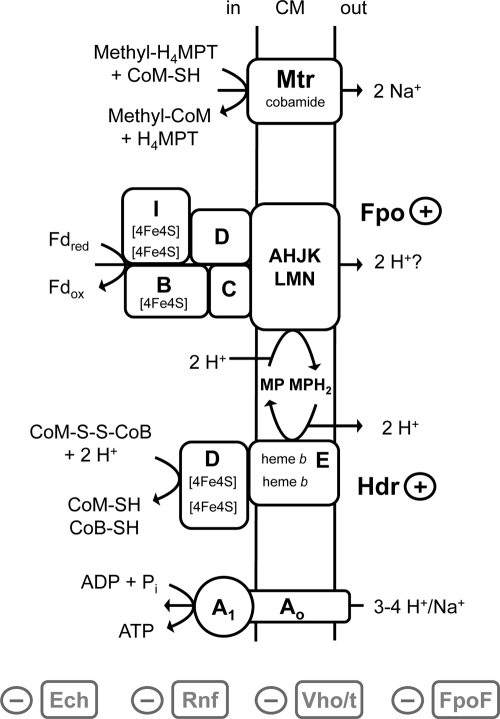 Fig. 1.