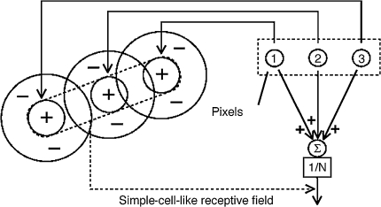 Fig. 1