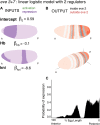 Figure 4—figure supplement 1.